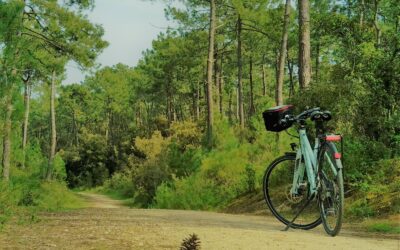 Balade guidée à vélo  » L’échappée belle à vélo en Pays de St Gilles Croix de Vie »…